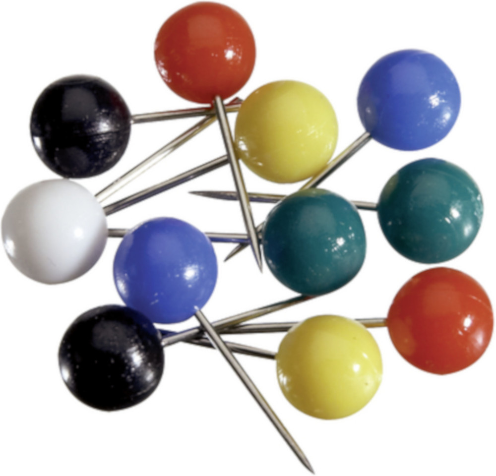 PN2338_Pinnadeln.jpg BrigFox