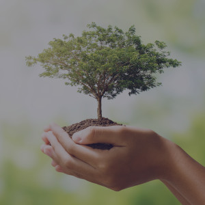 nachhaltigkeit-unternehmen nachhaltigkeit-unternehmen
