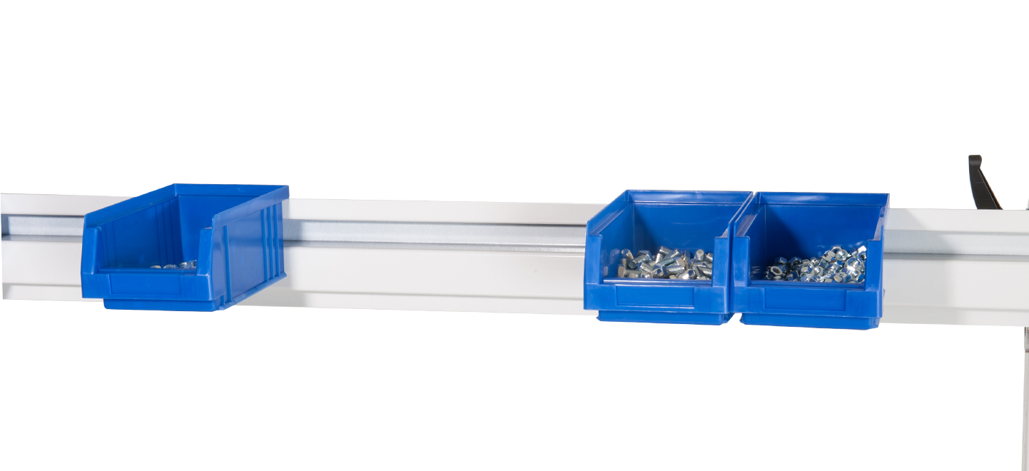 BJW_3922.jpg BrigFox