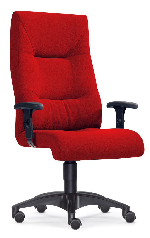 BrigFox, Moebel, Kissen, Dekoration für Zuhause, Stuhl, Sessel