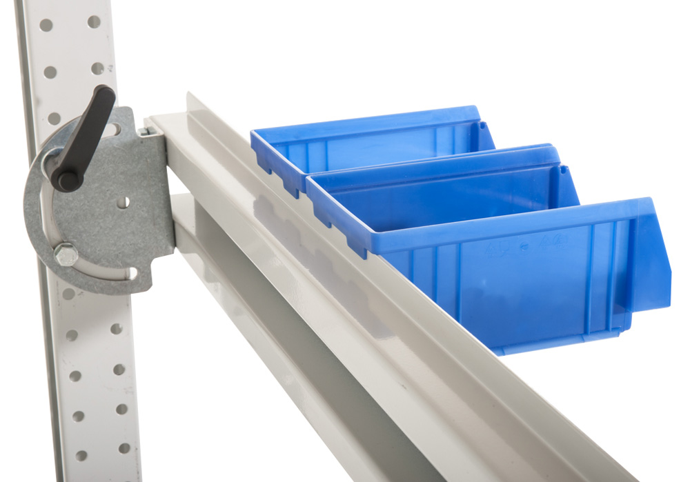 BJW_3920.jpg BrigFox