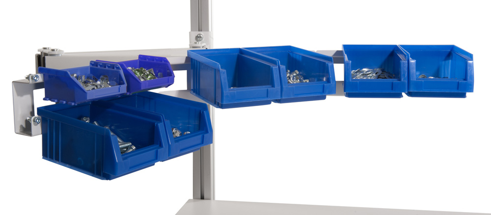 BJW_4350.jpg BrigFox