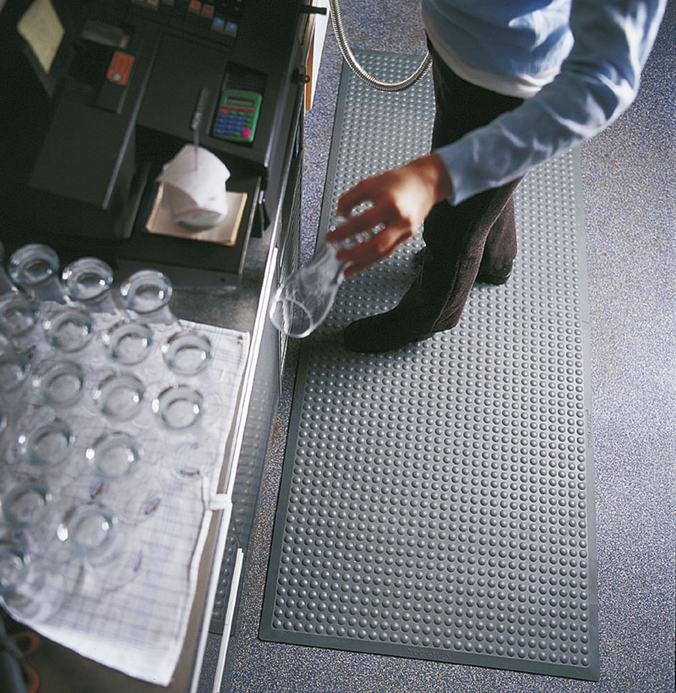 TM0156_TM0158.jpg BrigFox