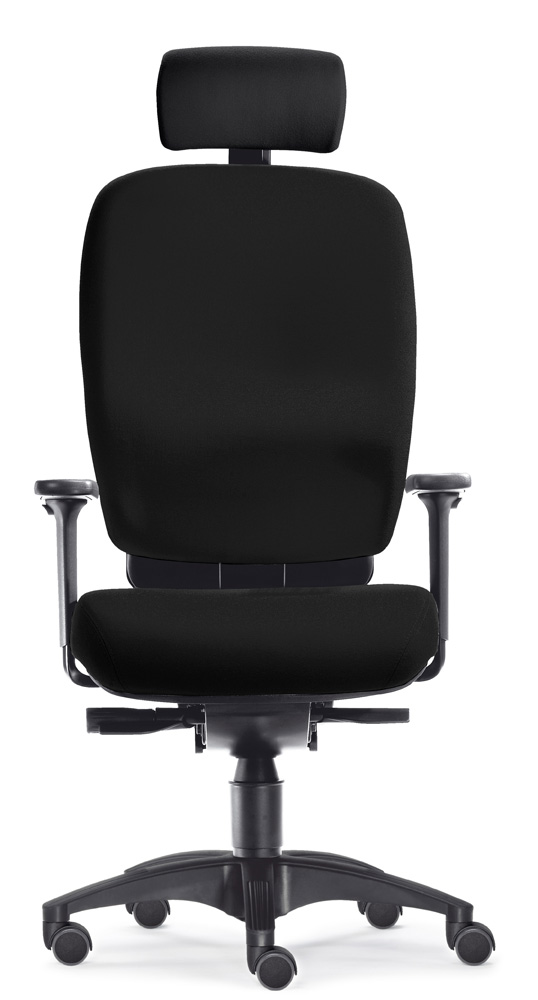 TS1116.jpg BrigFox, Kissen, Dekoration für Zuhause, Stuhl, Mobiliar, Kopfstütze