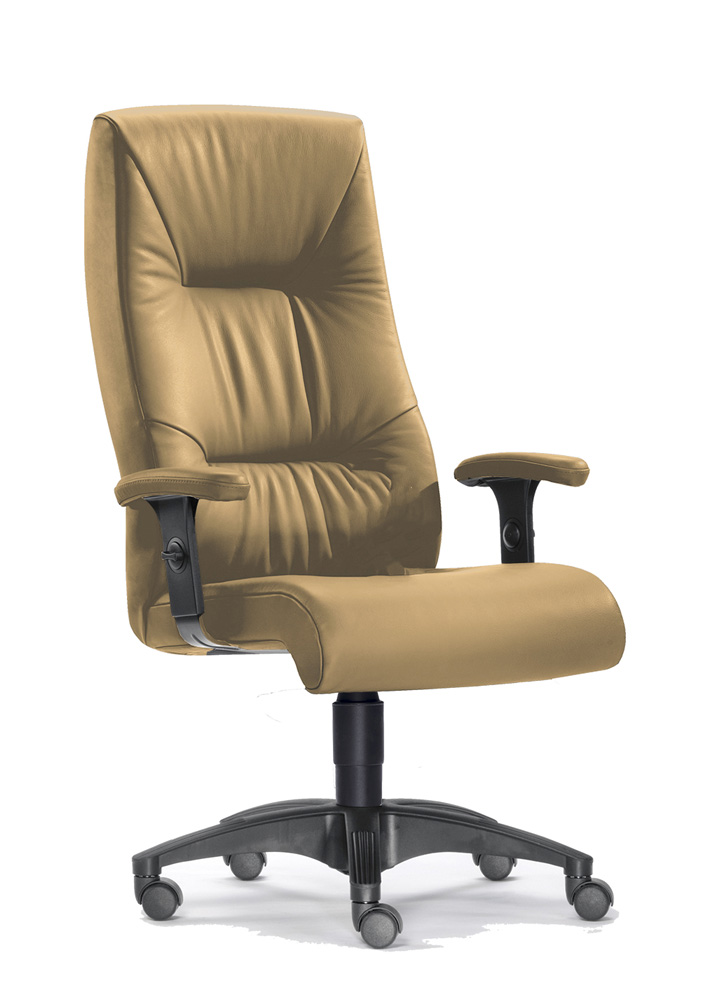 BrigFox, Moebel, Kissen, Dekoration für Zuhause, Stuhl, Sessel