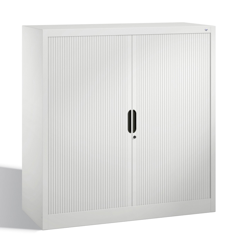 cp_3233-00_102.jpg BrigFox